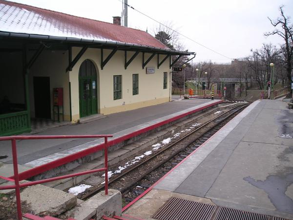 p1010061.jpg