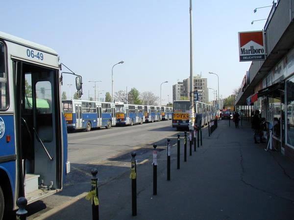 p1010034.jpg