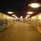 p1010060.jpg