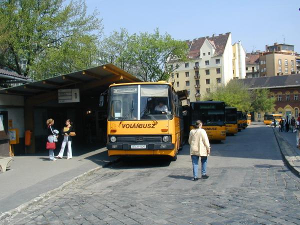 p1010003.jpg