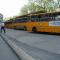 p1010008.jpg