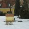 telipanorama2.jpg