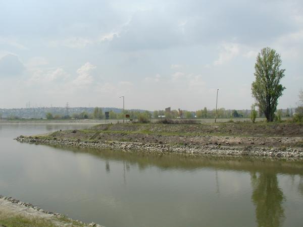 p1010095.jpg