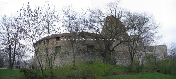 rondella02+.jpg