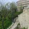 p1010013.jpg