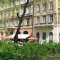 216_1690.jpg
