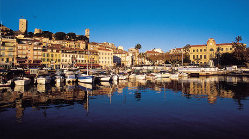 liszka_cannes2_sz4