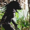 Predators 14