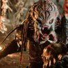 Predators 5