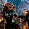 Predators 6