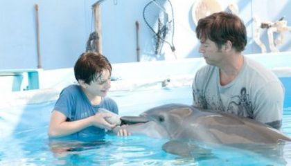 Delfines kaland - video