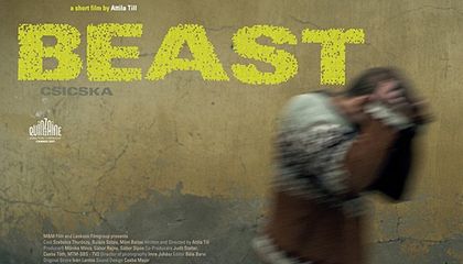Az Európai Filmakadémia díjáért indulhat a Csicska