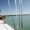 szelcsend12.JPG