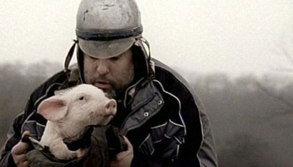 A disznó útja-filmrészlet