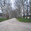 The alley of plane trees in Alcsútdoboz